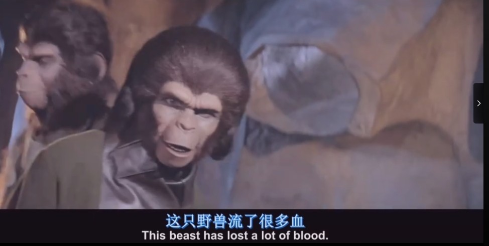 旧版《人猿星球》(1968)-(1973)1-5部合集 1920*1080 英语中字 单部1-3G 共(9.2G)