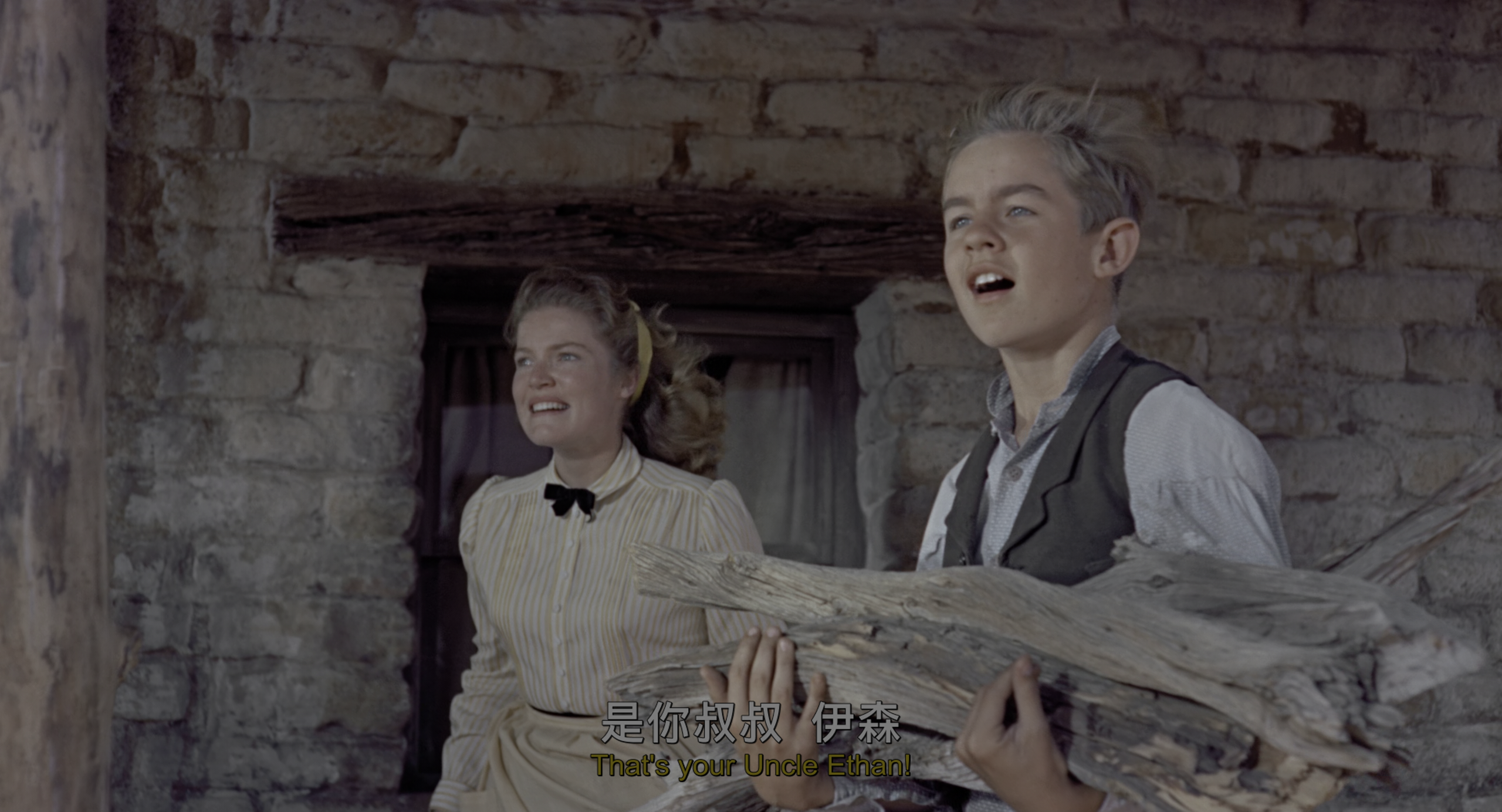 搜索者 (1956)【蓝光 / 4K / UHD压制】【杜比视界 & HDR】【简繁英字幕】【DTS音轨】【26.82GB】