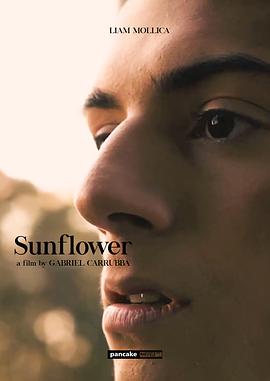 向日葵 Sunflower