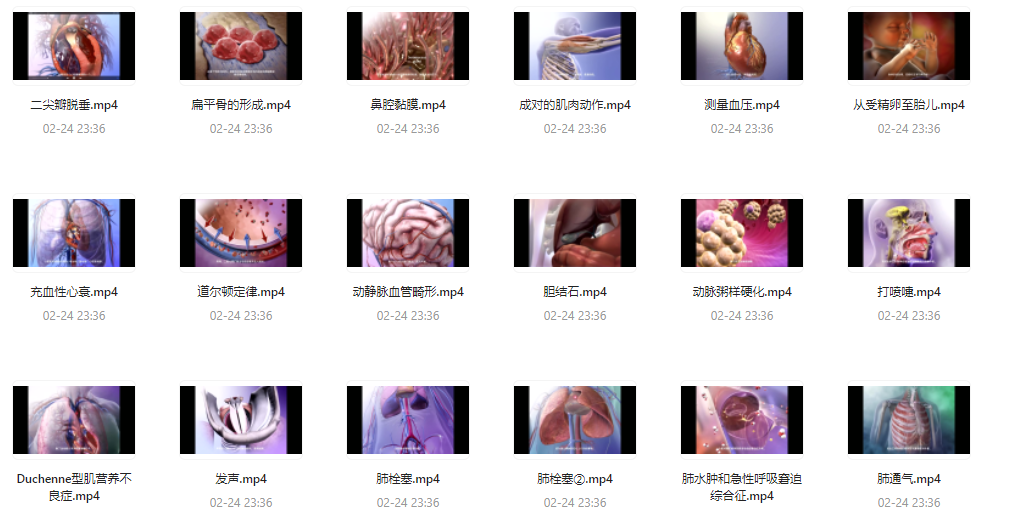《人体器官医学解说》视频字幕版 科普人体 [mp4] [2G]