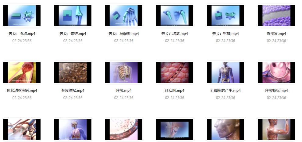 《人体器官医学解说》视频字幕版 科普人体 [mp4] [2G]