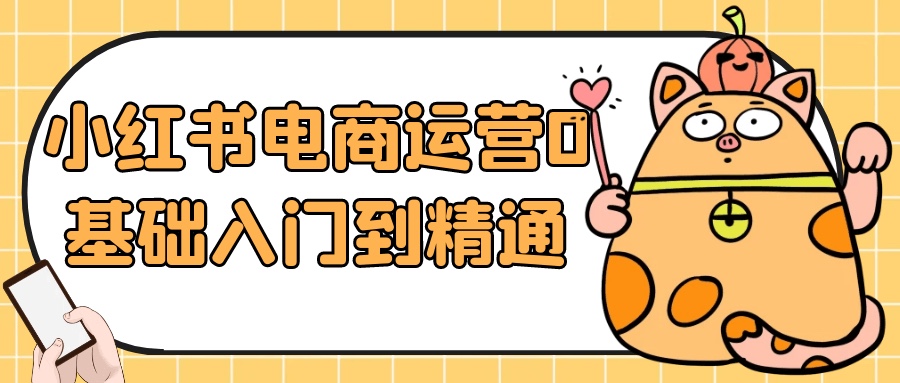 小红书电商运营0基础入门到精通2GB