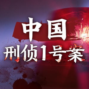 《中国刑侦1号案》有声小说 再现白宝山事件 全34集   [mp3]   [254.5MB]