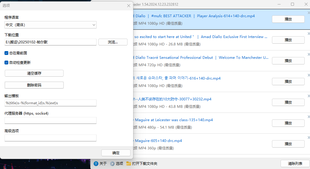 youtube下载器DLNow Video Downloader   [Windows平台] 【89M】