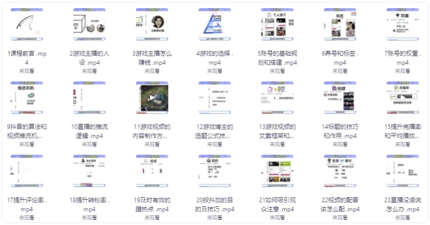 不知名小傅·游戏自达人计划,当游戏不只是游戏,利用好短视频才是游戏的新时代 【856MB】