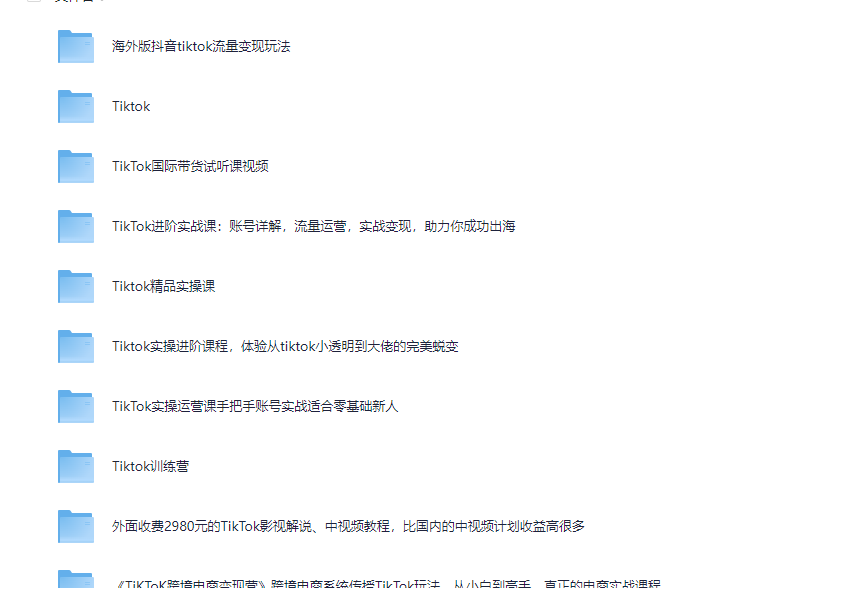 Tik Tok运营教程合集-虚拟资料库 29.6GB