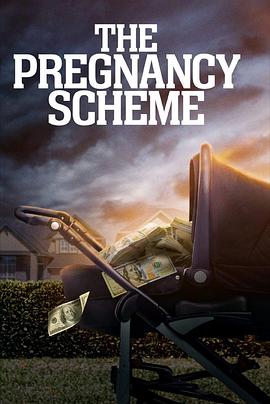 验孕阴谋 The Pregnancy Scheme