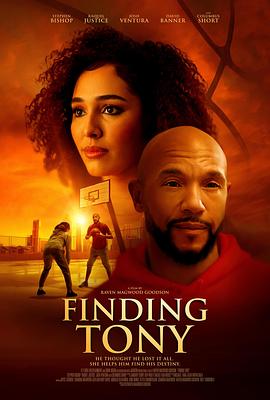 寻找托尼 Finding Tony