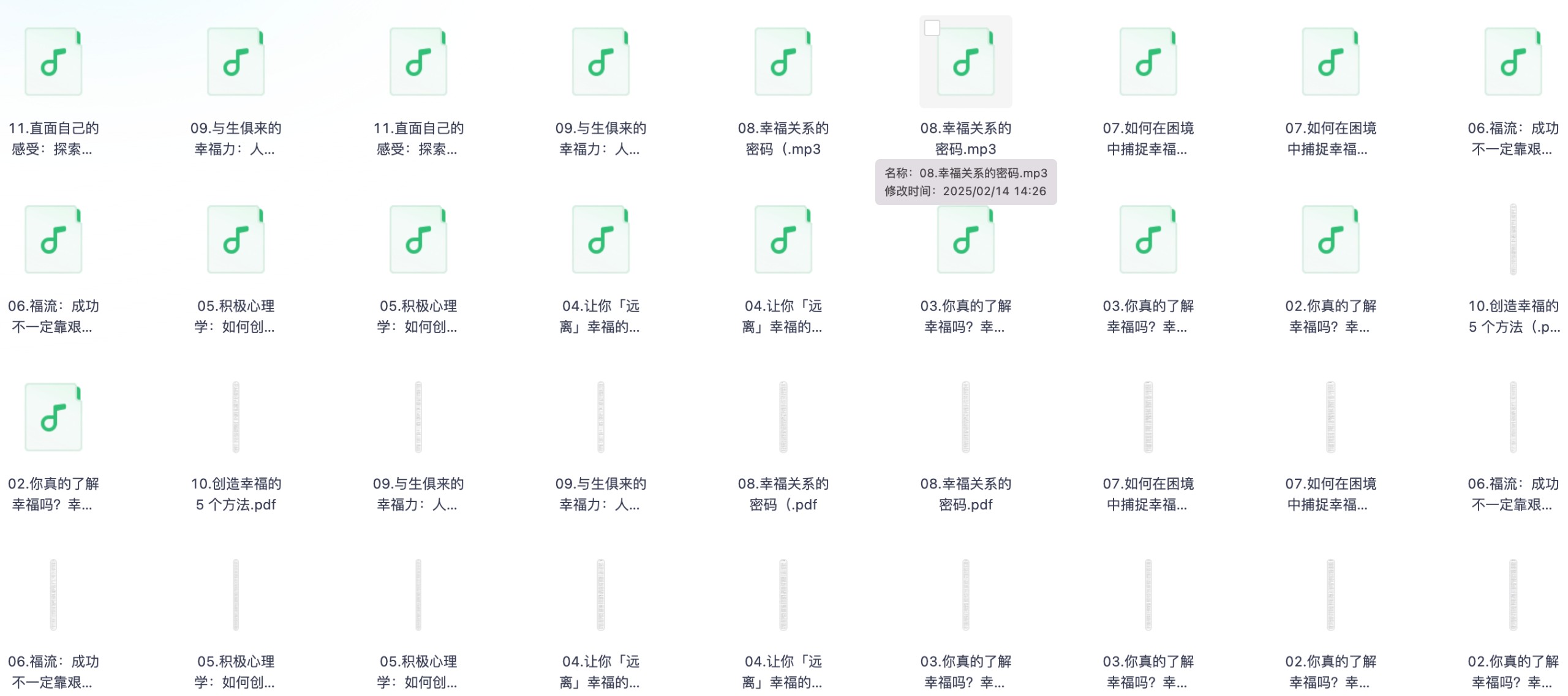 《杨澜&彭凯平：幸福力必修课》（完结）【MP3/PDF/330.4MB】