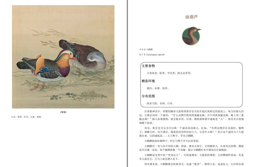 《故宫里的博物学》套装全3册 为孩子打造的中华文化通识读本  [pdf.epub]  [32.6M]