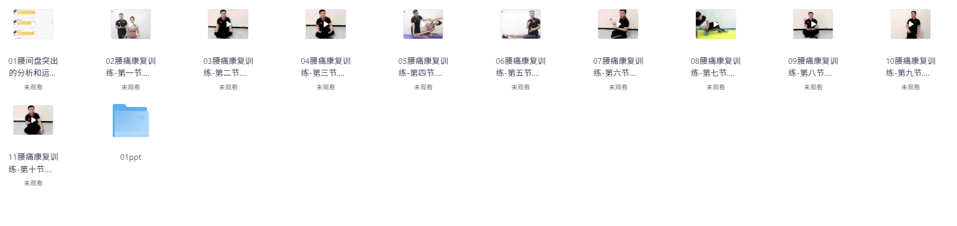 《腰痛运动康复:教练与患者必学》(2.6GB)