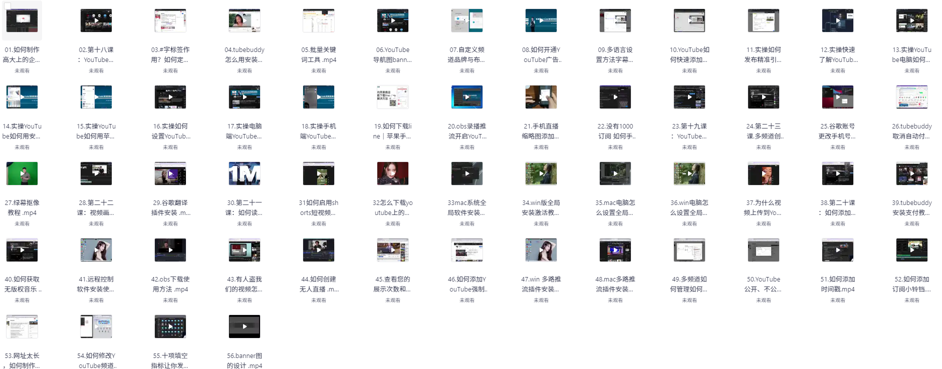 Youtube金牌运营直播训练营，国内最系统YouTuBe运营教学，掌握长期稳定流量密码【MP4】【3.2G】
