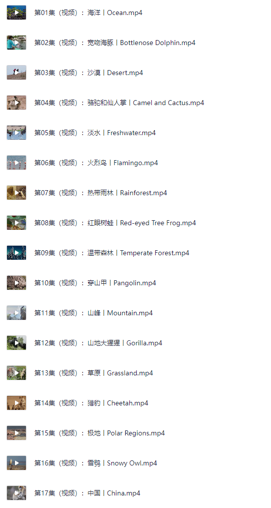 《小探险家》儿童科普启蒙双语百科资源(内含全套视频mp4+音频m4a+可打印学习的知识卡片jpg/pdf)【3.8G】