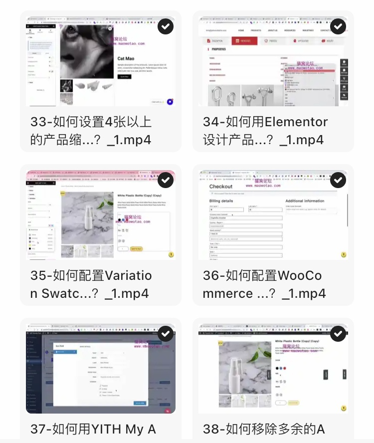 《WordPress建站从入门到精通》跨境电商建站教程 【1.54GB】