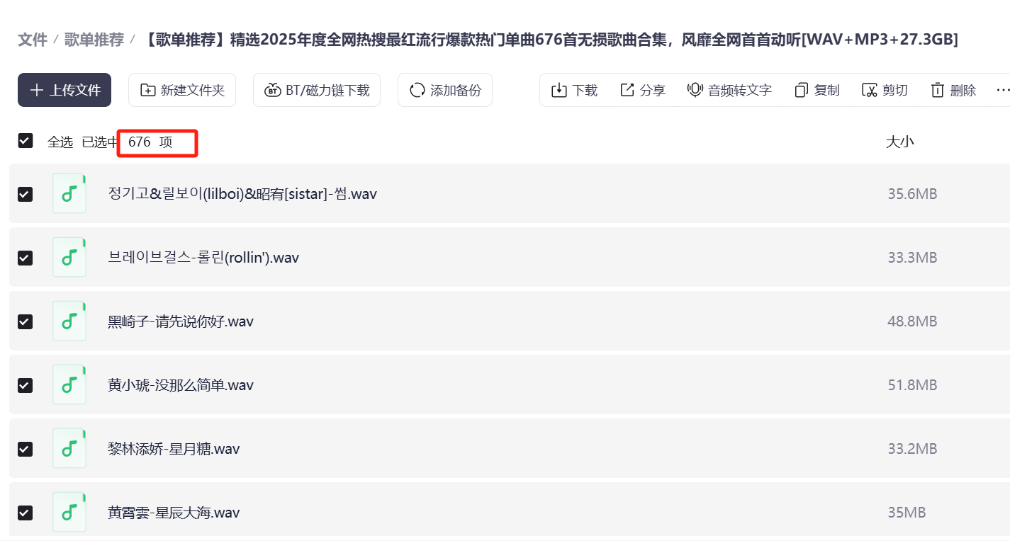 676首2025年全网热搜最红流行爆款热门单曲无损歌曲合集 [WAV+27.3GB]