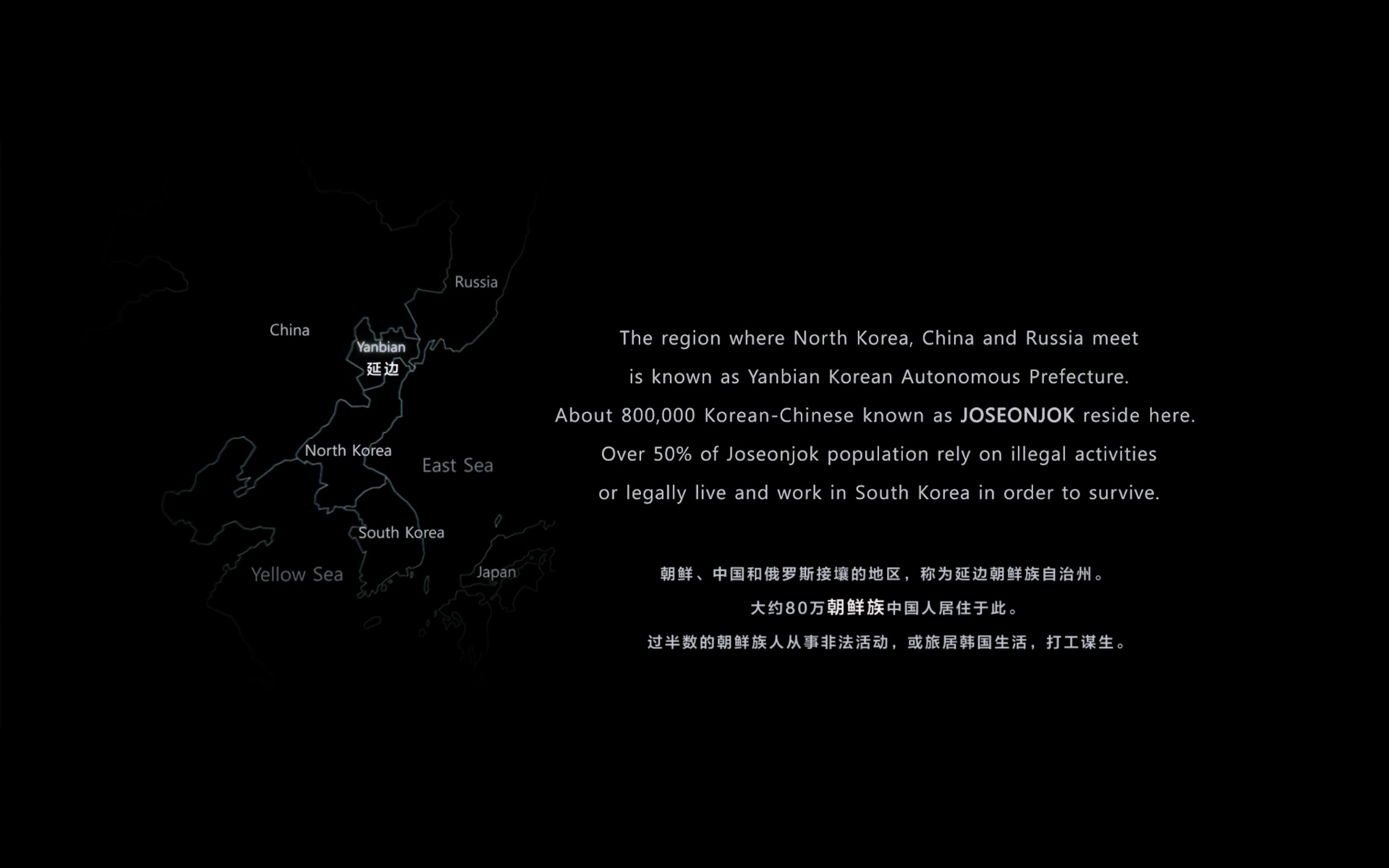 黄海(2010)【BluRay.1080P】【内封中文/特效字幕】【剧情/动作/犯罪】【河正宇/金允石】【9.36GB】