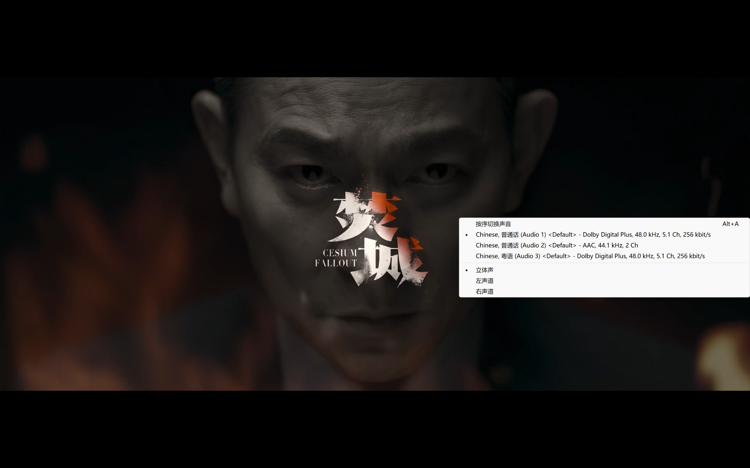 焚城(2025)【4K.EDR】【国粤多音轨】【内嵌中英字幕】【动作/灾难】【刘德华/莫文蔚】【12.4GB】