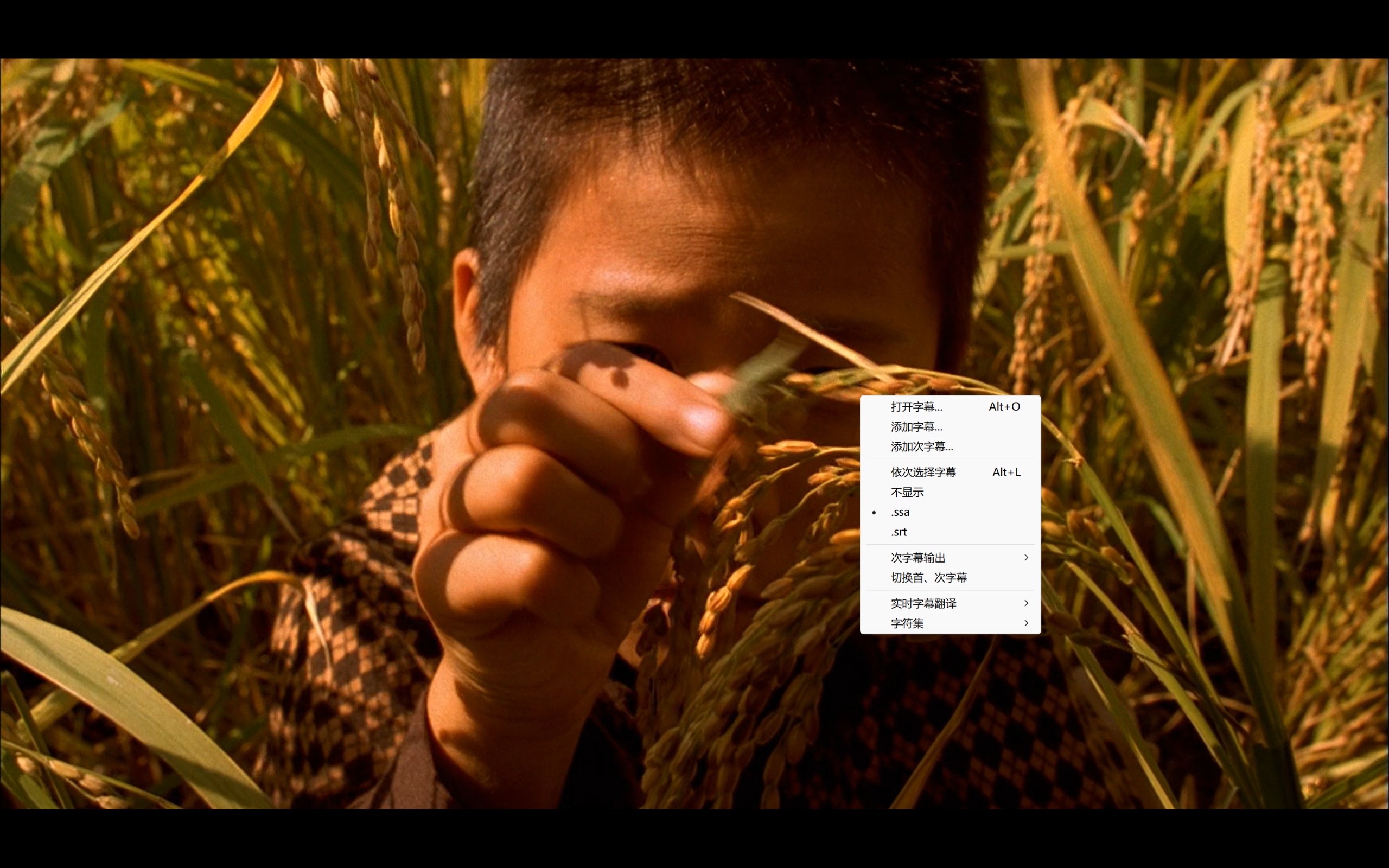 杀人回忆(2003)【BluRay.1080P】【外挂简中字幕】【剧情/惊悚/犯罪】【宋康昊/金相庆】【12.8GB】