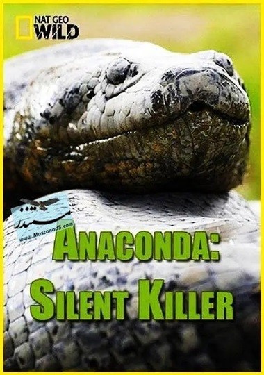 蟒蛇：沉默杀手.Anaconda.Silent.Killer.2014.国配中英双字.2160P.4K  [1.5G]