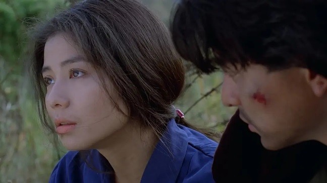 爱人同志.Stars.and.Roses.1989.国粤双语中字.1080P.BluRay [18.5G]