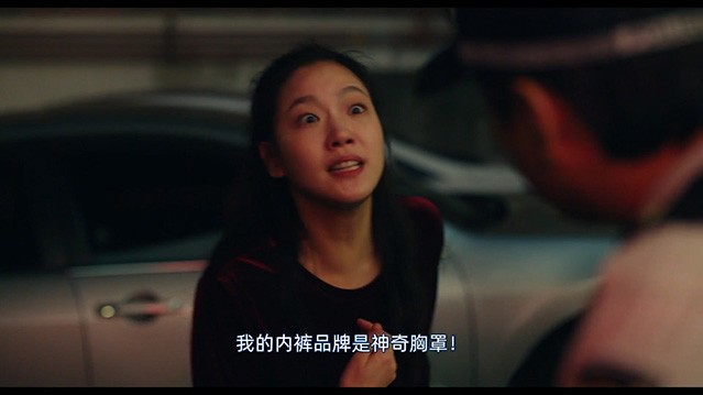 大都市的爱情法.2024.韩语中字.HD1080P [4.07G]