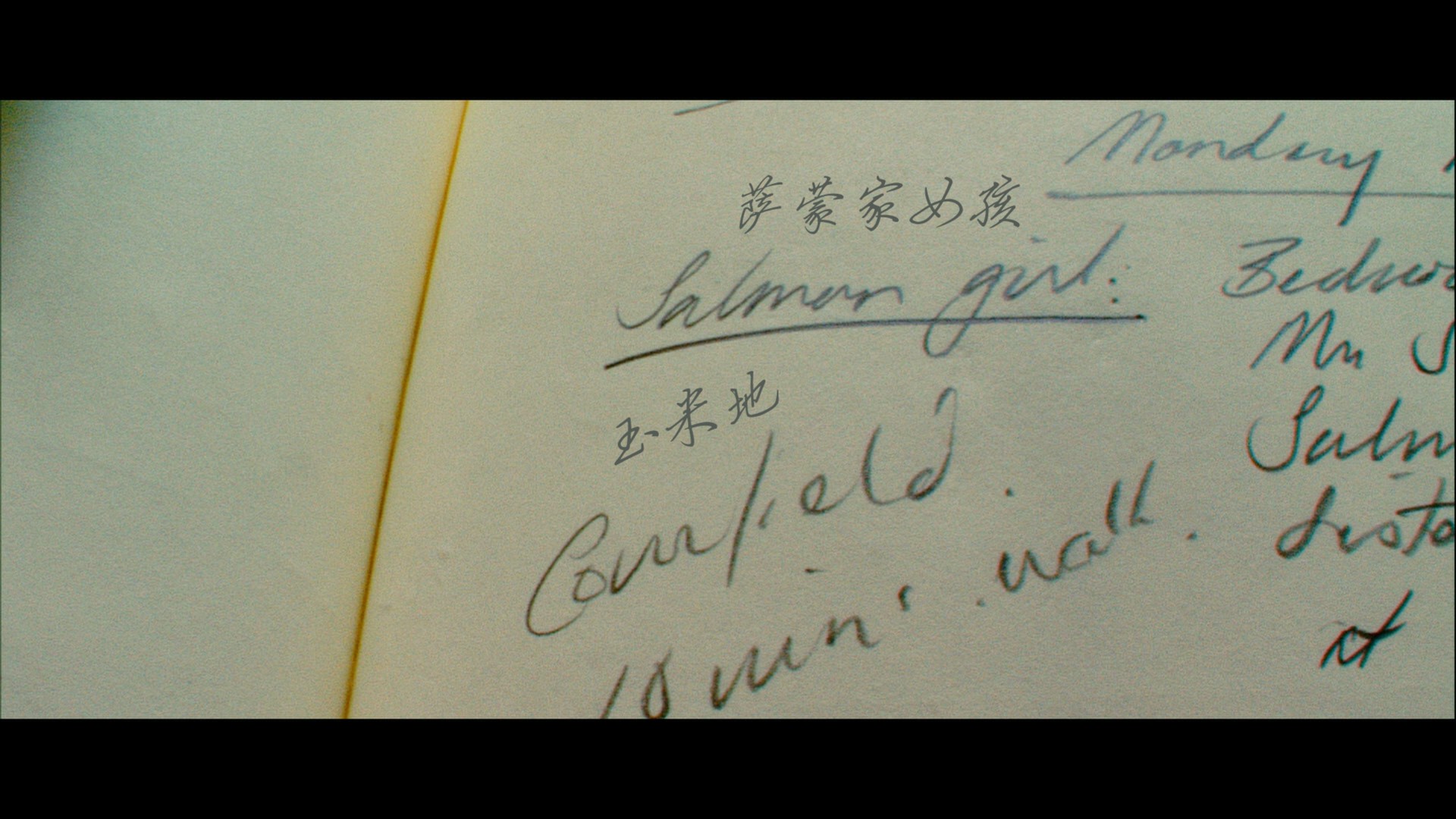 可爱的骨头(2009)【1080p / 蓝光原盘 / REMUX】【国英音轨】【特效字幕】【35.9G】