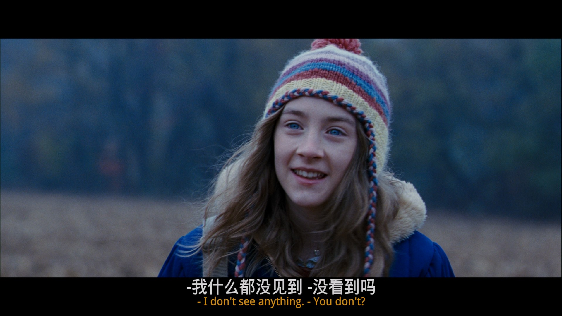 可爱的骨头(2009)【1080p / 蓝光原盘 / REMUX】【国英音轨】【特效字幕】【35.9G】