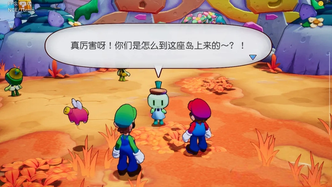 马力欧&路易吉RPG兄弟齐航|NS版 （PC+手机）中文|1.0.1升补【10GB】