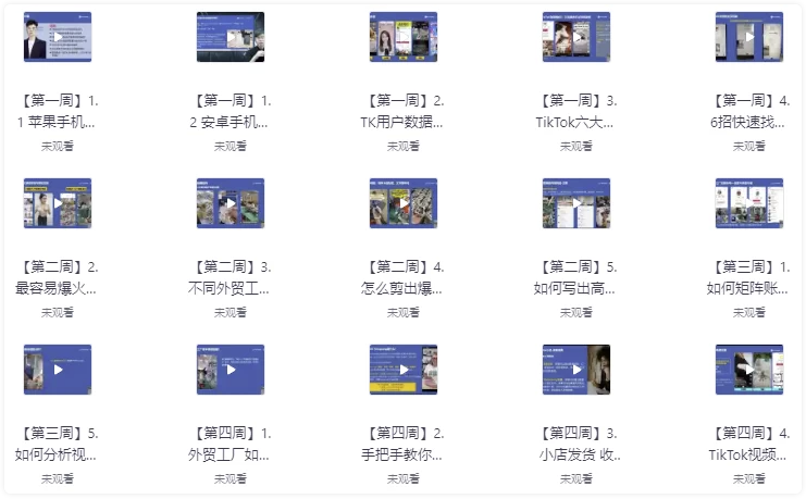 TikTok外贸工厂陪跑训练营 【】
