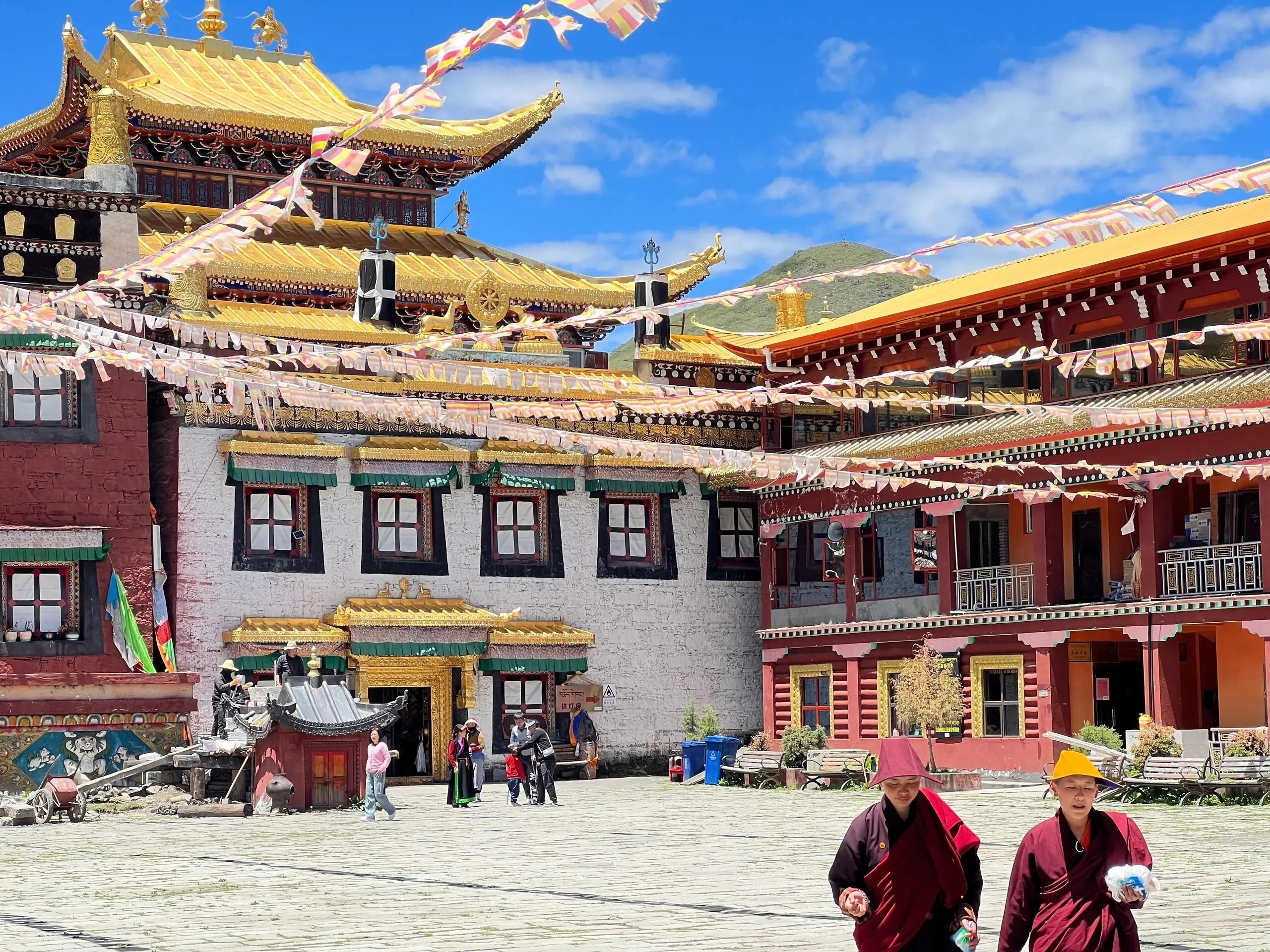 《2025国内最新旅游攻略》吃住行游购，一本全解决！约2400个详尽景点介绍【817MB】