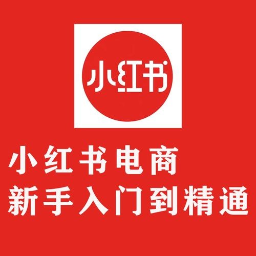 小红书电商实操课：新手从入门到精通【MP4】【1.02GB】