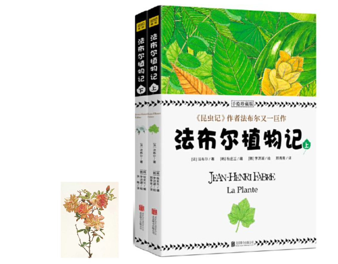 法布尔植物记:手绘珍藏版(套装共2册) 54.2MB