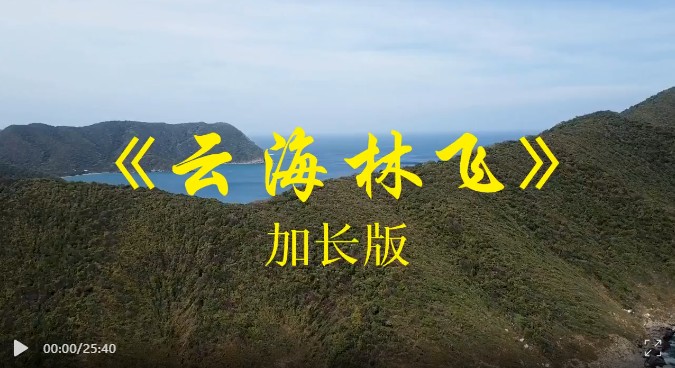 《云海林飞》 纯音乐完整版【MP4/152MB】