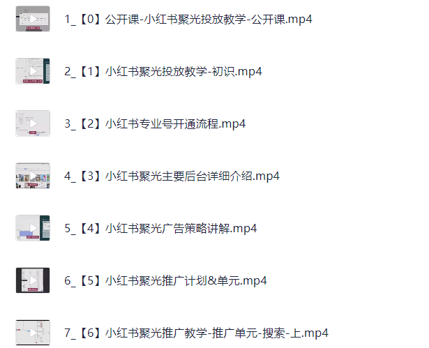 小红书聚光投放原理实操教程【1.1G】
