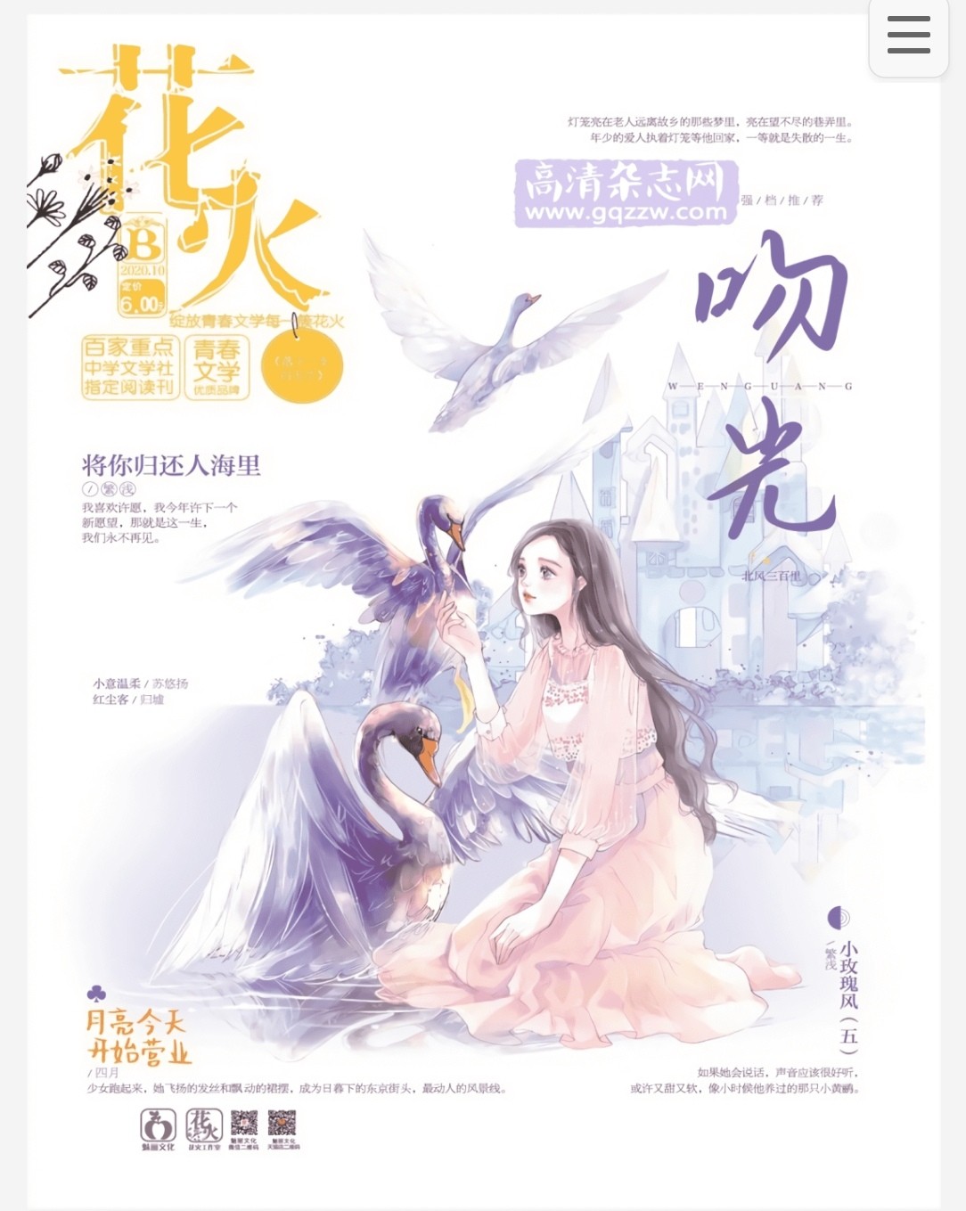2009-2022年花火共282本 pdf 8.58GB