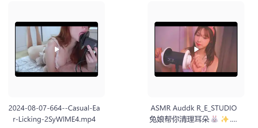 【自费购买】  [20250405更4部]ASMR国内外性感美女甜耳音声哄睡助眠精品视频 灯亮即是真理，奥迪A8大灯  [2.4G]