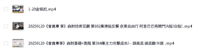 油管财经博主 蔡森财经 金钱爆 25年最新-油管-会员专享 视频mp4格式 合集 50G