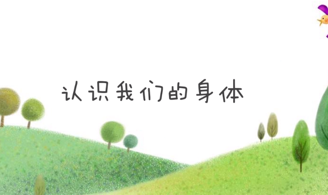 孩子的第一堂性教育课【1.2GB】