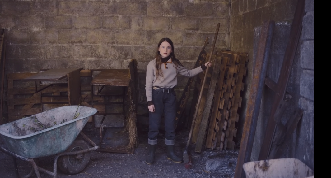 夏日细语 An Cailín Ciúin (2022) 2960*2160 英语中字] 13G 恬淡 治愈的电影 净化心灵