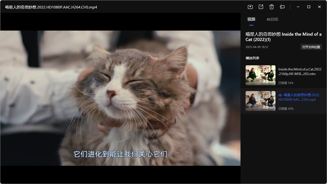喵星人的奇思妙想(2022) 4K  [外挂简中/繁体字幕] + 1080P [内封简中字幕]【11G】