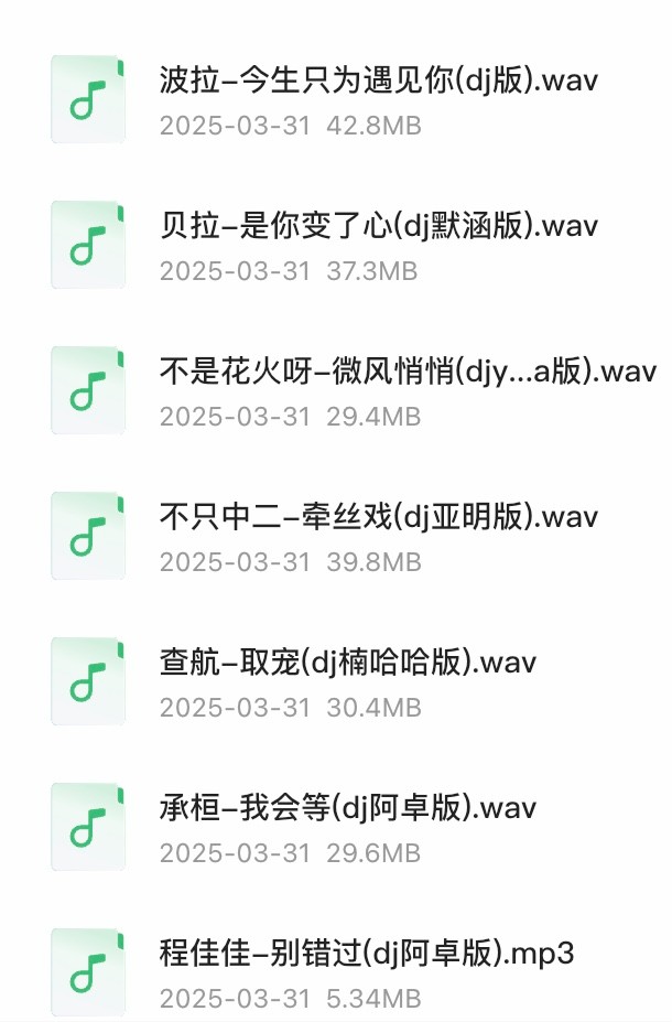 2025年3月劲爆车载DJ歌曲合集 200多首近期热门音乐 [WAV/MP3] [8.35GB]