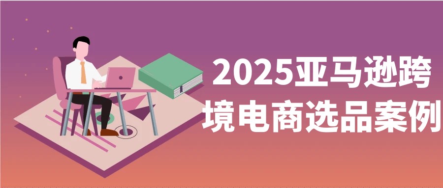2025亚马逊跨境电商选品案例【2.1GB/MP4】