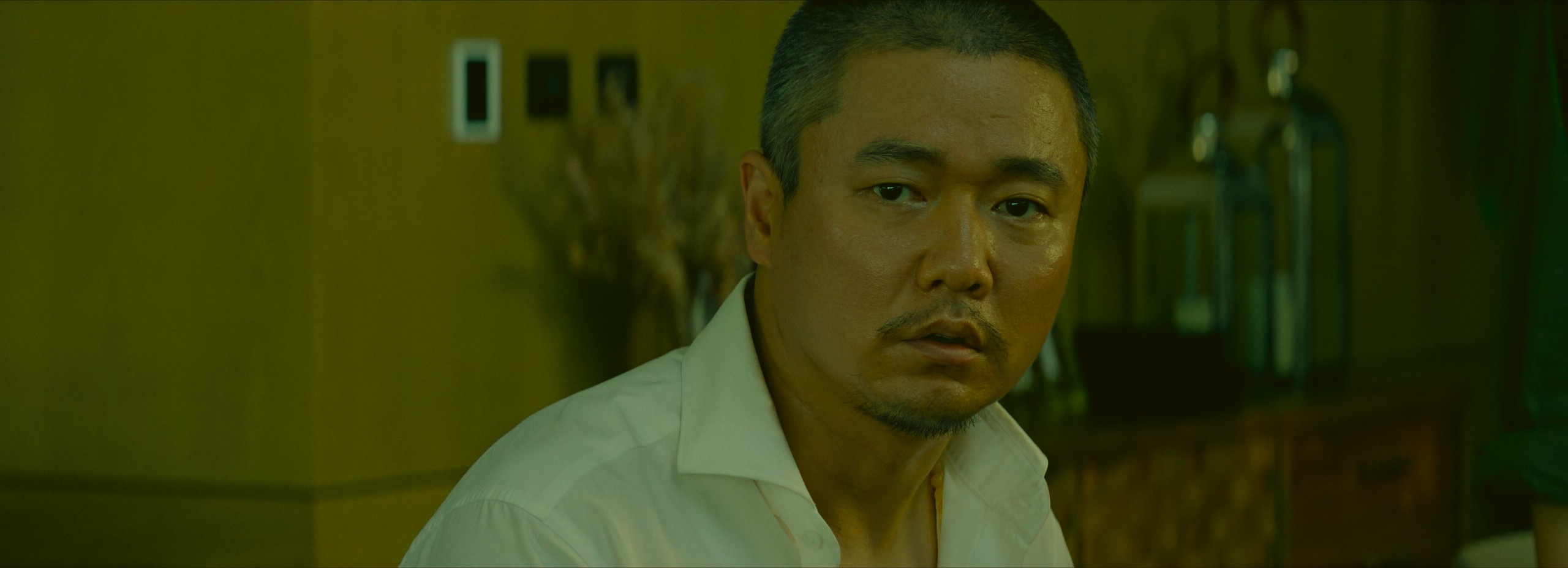 误杀3（2024）4K【杜比视界&杜比全景声】WEB-DL.HEVC 嵌入简英双语字幕.（附4kSDR片源） [31.7G】