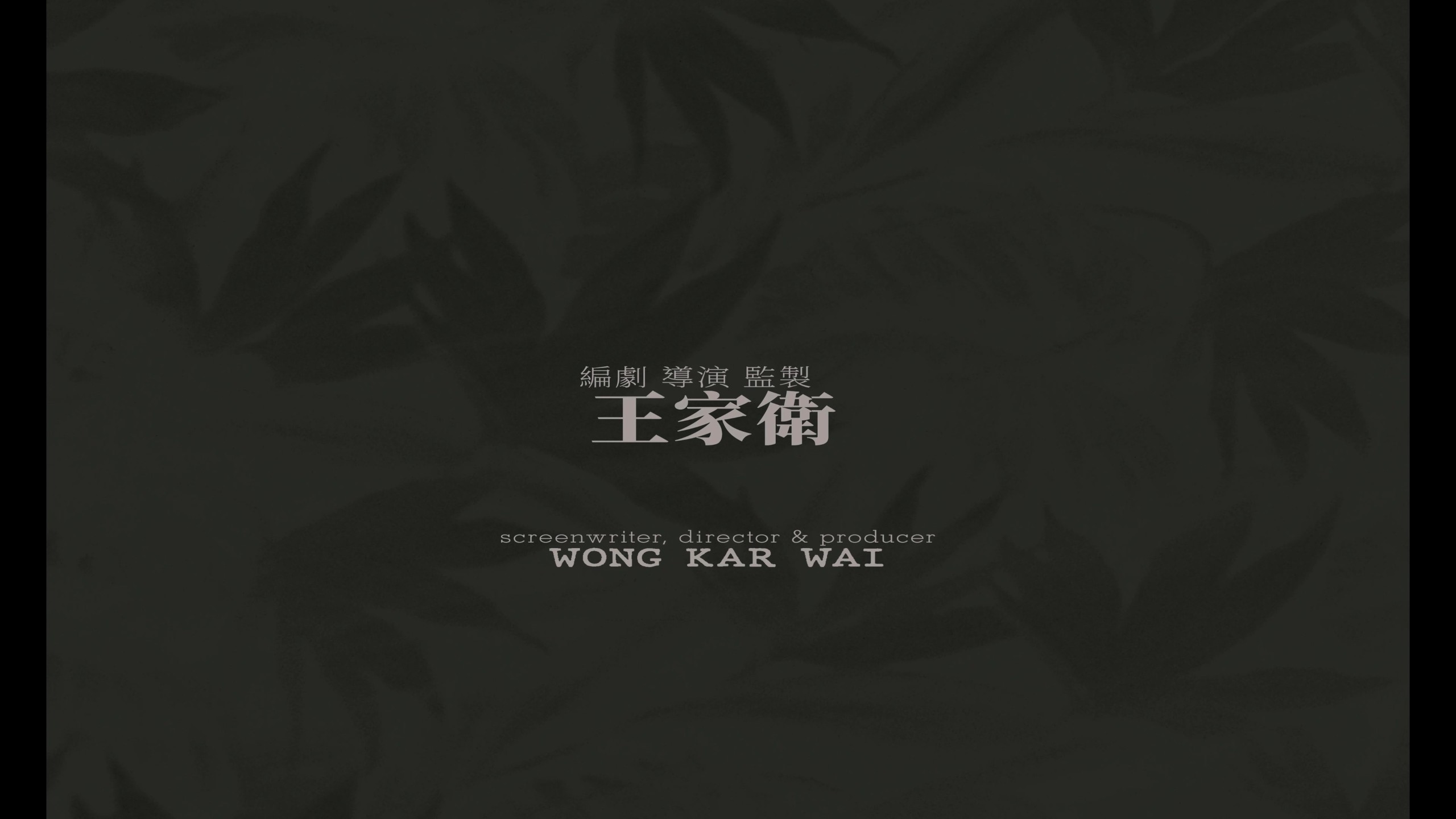 重庆森林（1994）【4K蓝光原盘】【杜比视界&次世代国粤双音轨】内封简繁英双语字幕 [50.9G]