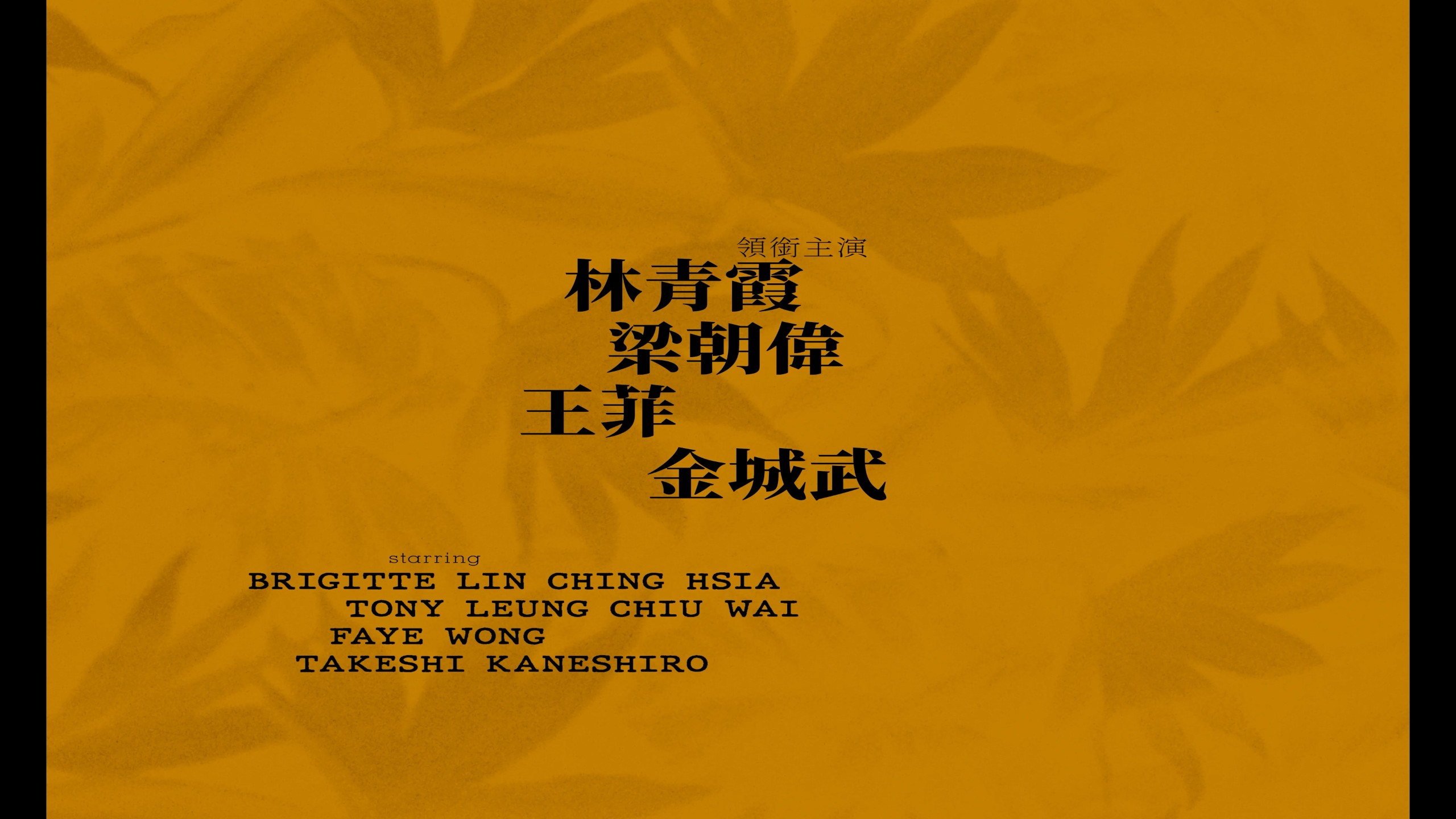 重庆森林（1994）【4K蓝光原盘】【杜比视界&次世代国粤双音轨】内封简繁英双语字幕 [50.9G]