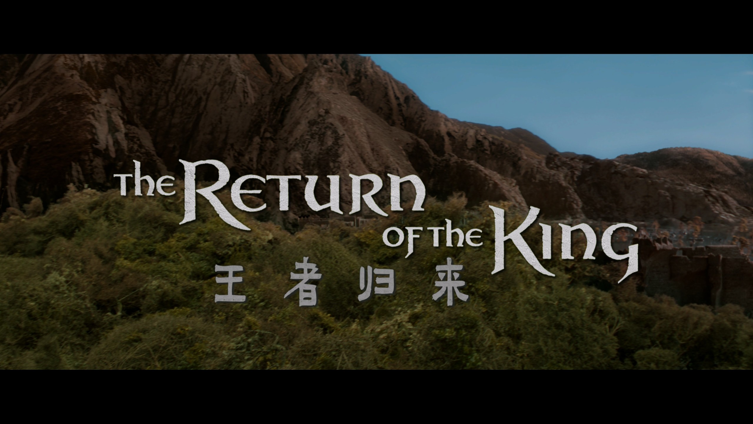 《指环王》三部曲典藏版【4K蓝光加长版原盘 REMUX】【杜比视界&杜比全景声国英双音轨】【四导评简中字幕】内封简繁英双语特效字幕  [400.5G]