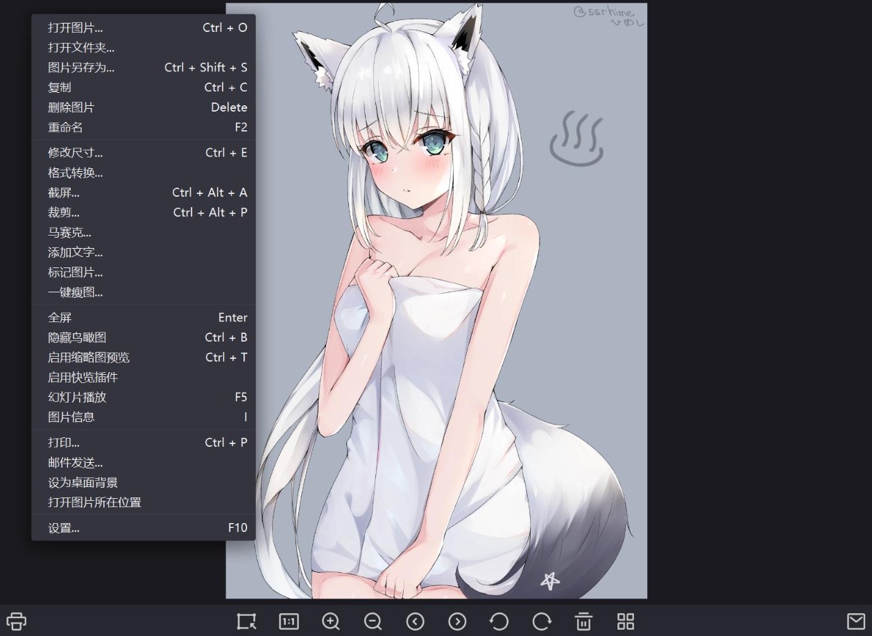【PC】压箱底私藏货，爱奇艺看图v1.0.17.1465，这款软件已绝版，错过就真没了【9.9M】