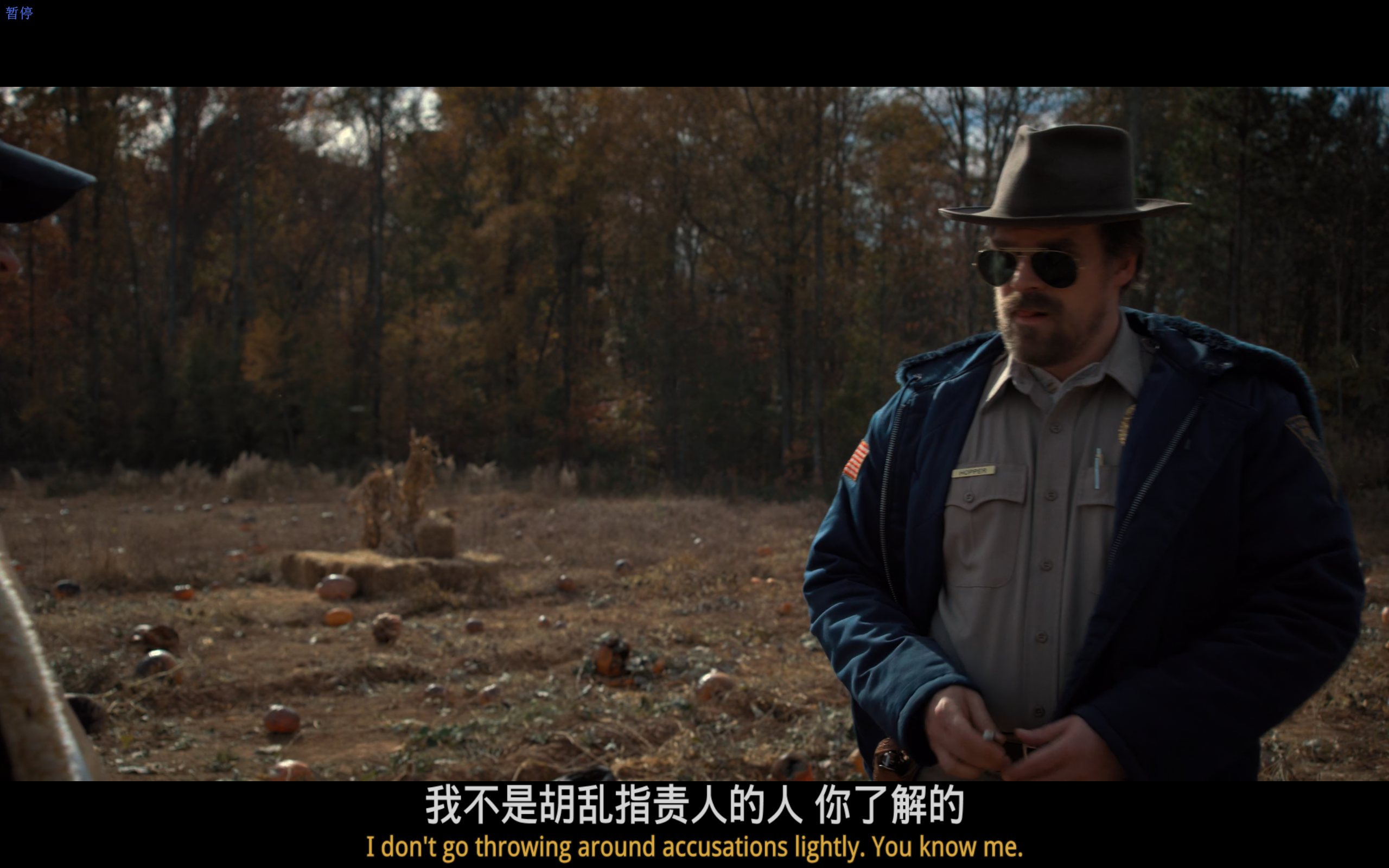 怪奇物语(四季全+SP)【蓝光1080P】【内封双语SUP特效多字幕】【奇幻/恐怖】【cXcY@FRDS】【130GB】【珍藏版】