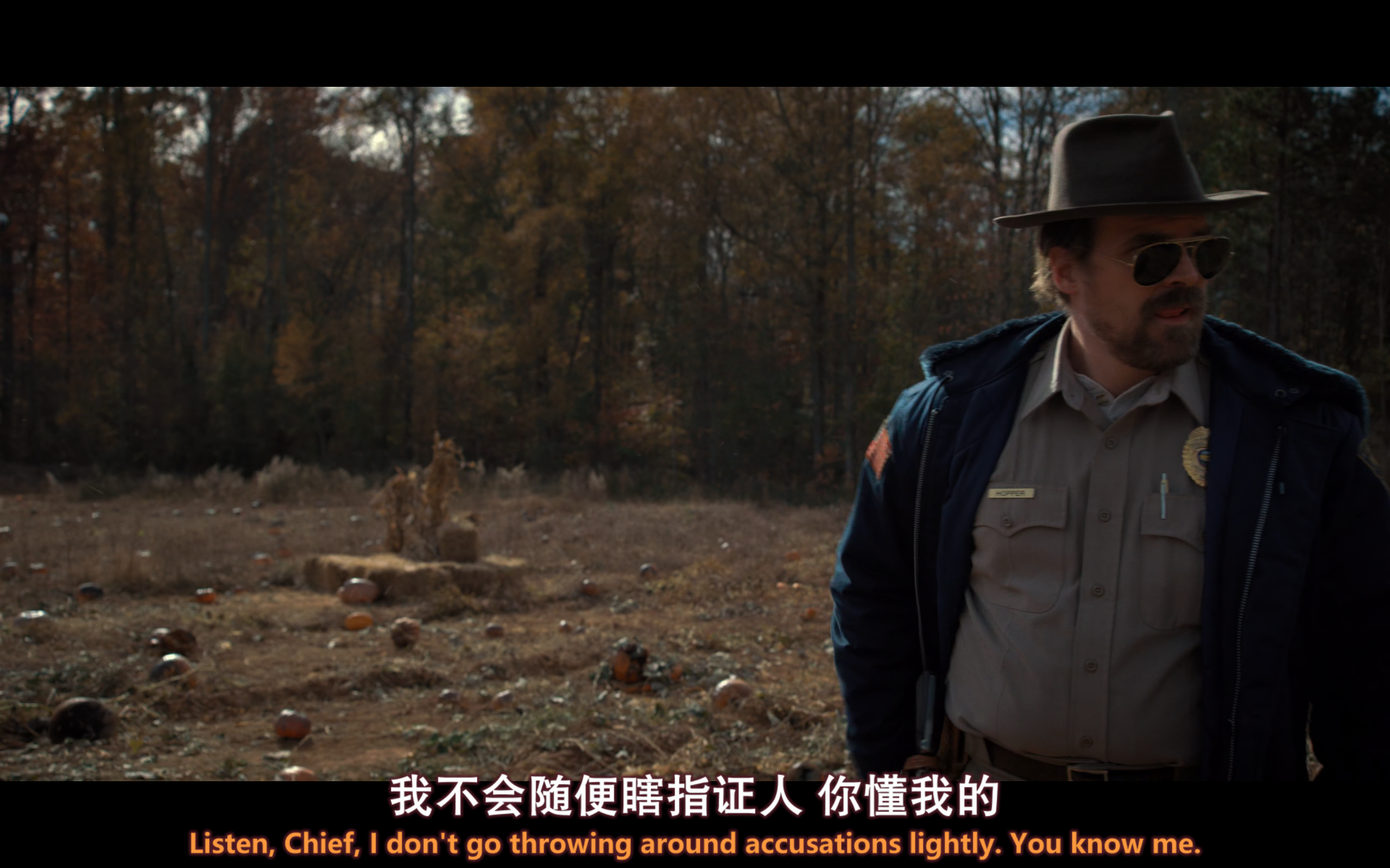 怪奇物语(四季全+SP)【蓝光1080P】【内封双语SUP特效多字幕】【奇幻/恐怖】【cXcY@FRDS】【130GB】【珍藏版】