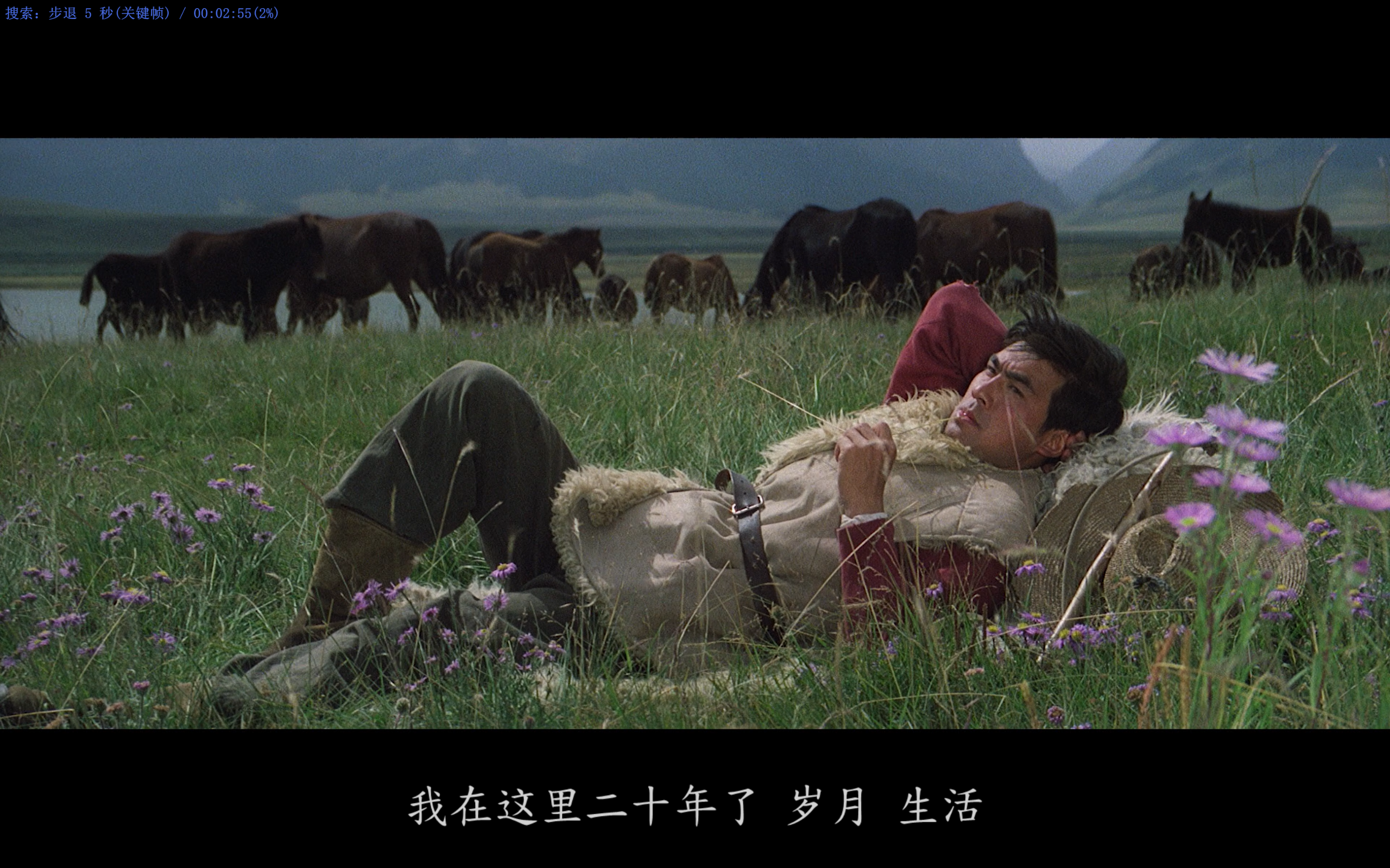 牧马人(1982)【1080P.REMUX 蓝光原盘】【内封简/英字幕】【剧情】【29.1GB】